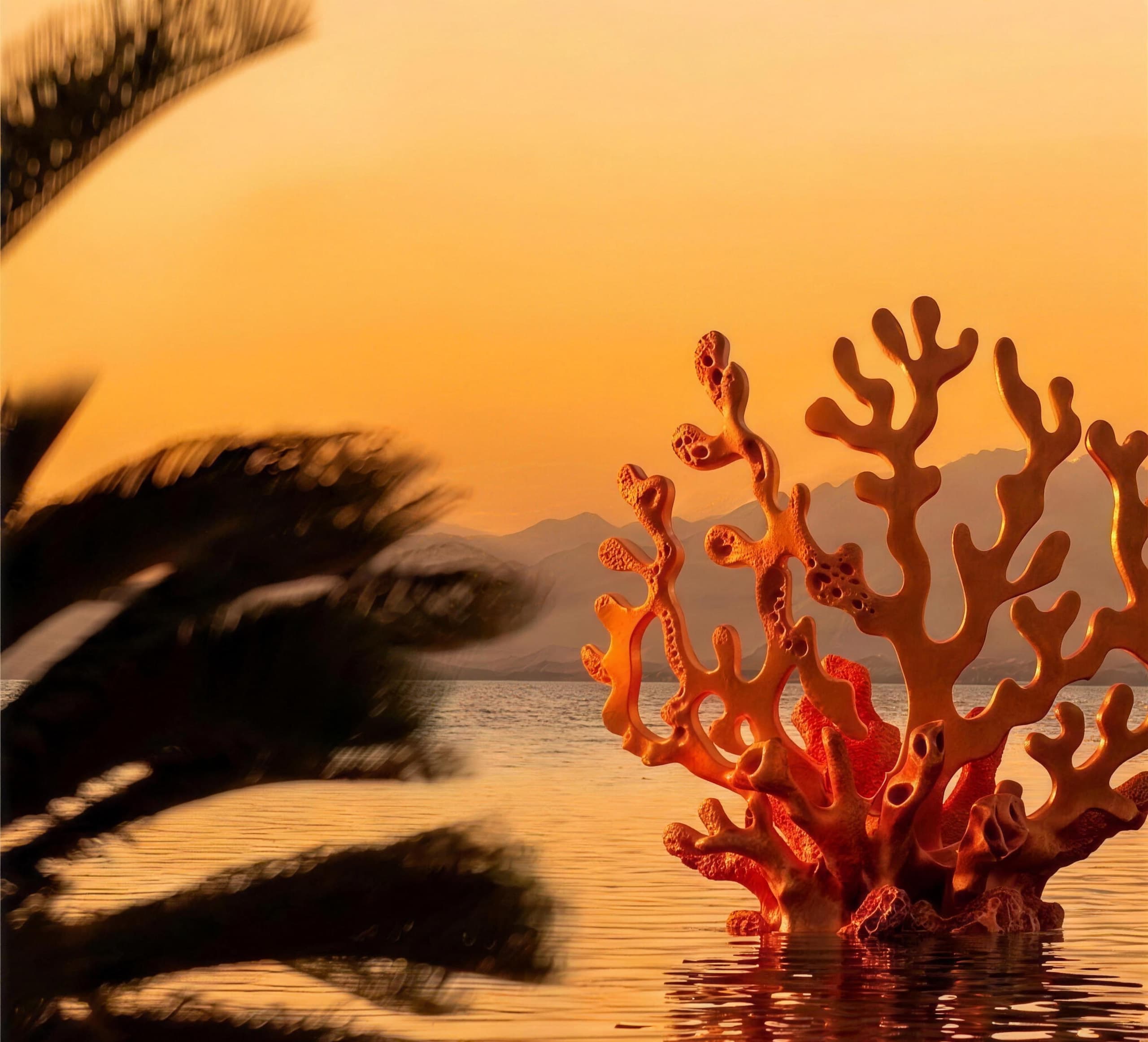 A coral formation standing in still water at sunset off the Somabay shoreline, with palms in silhouette and the Red Sea mountains beyond